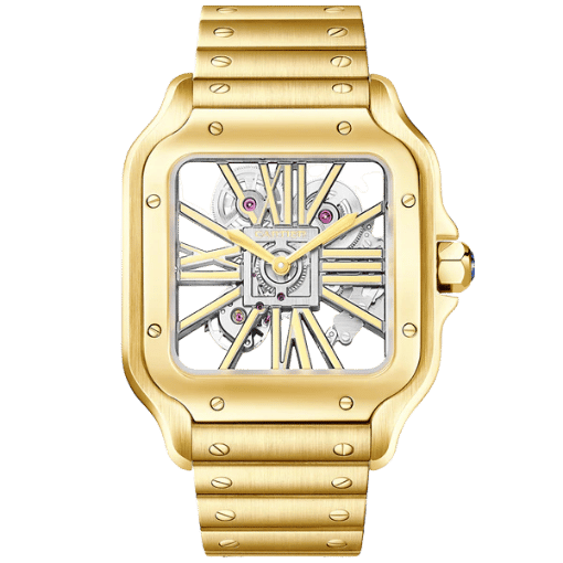 Santos Large Skeleton WHSA0042