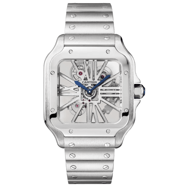 Santos Large Skeleton WHSA0015