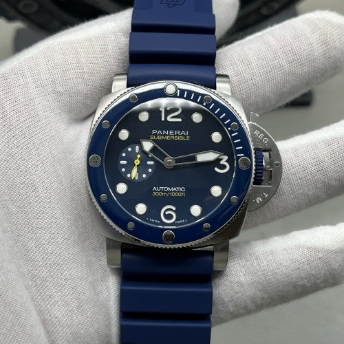 Submersible PAM01676
